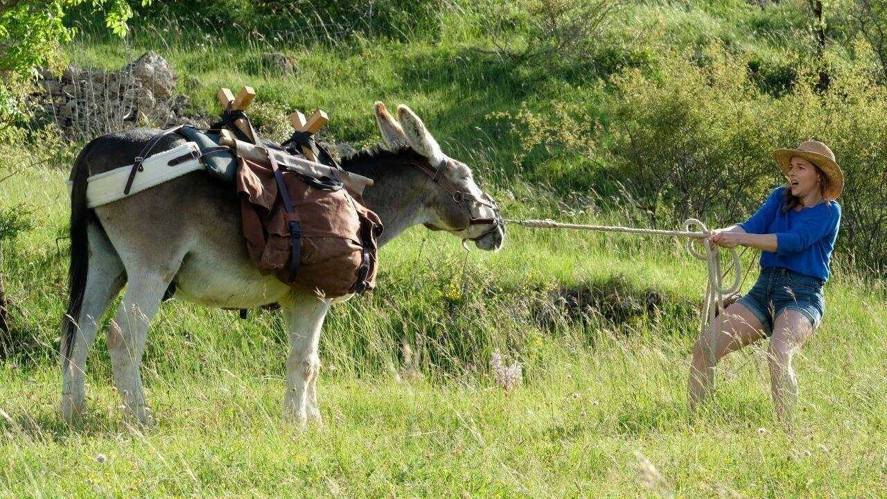 FR - Antoinette dans les Cévennes - 2020 0
