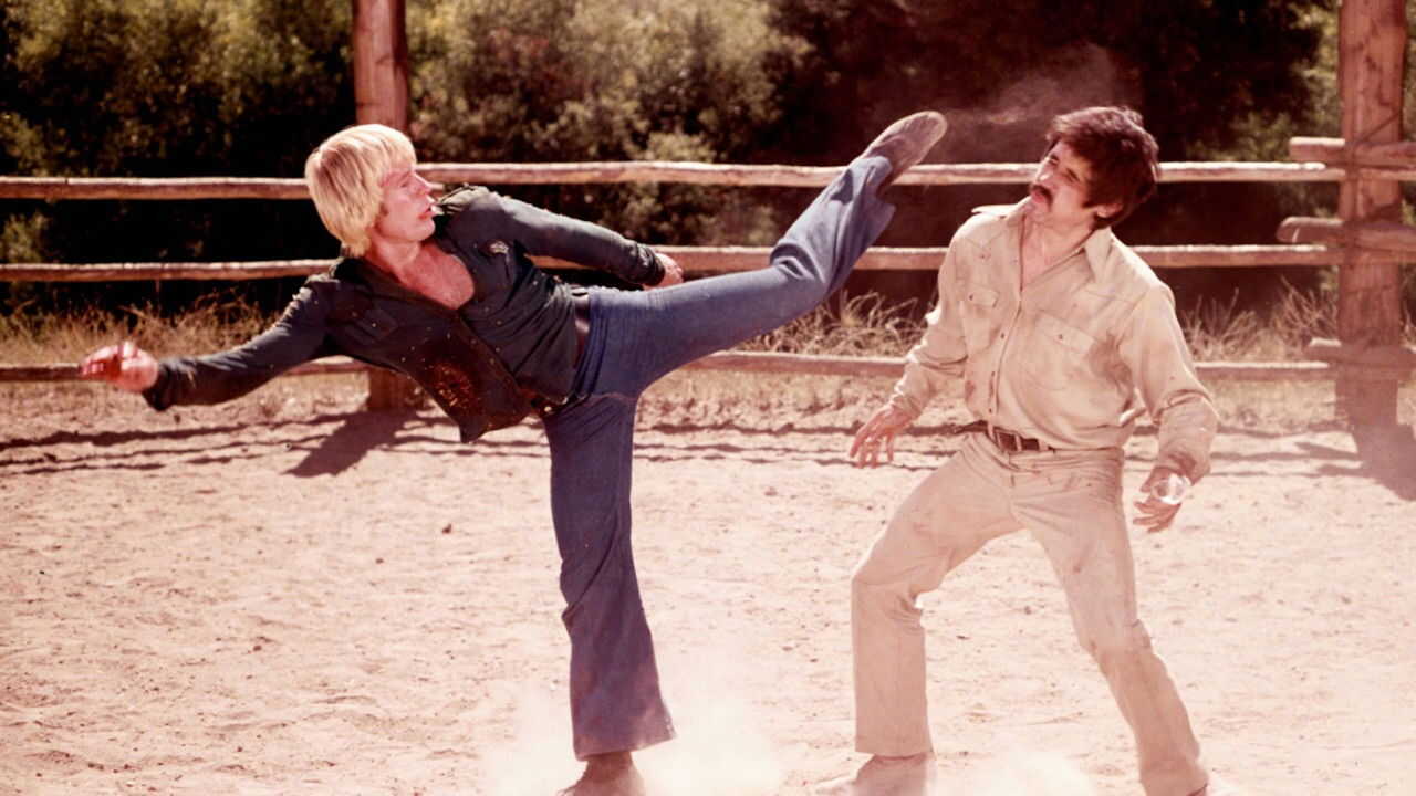 Les Casseurs (1977) 0