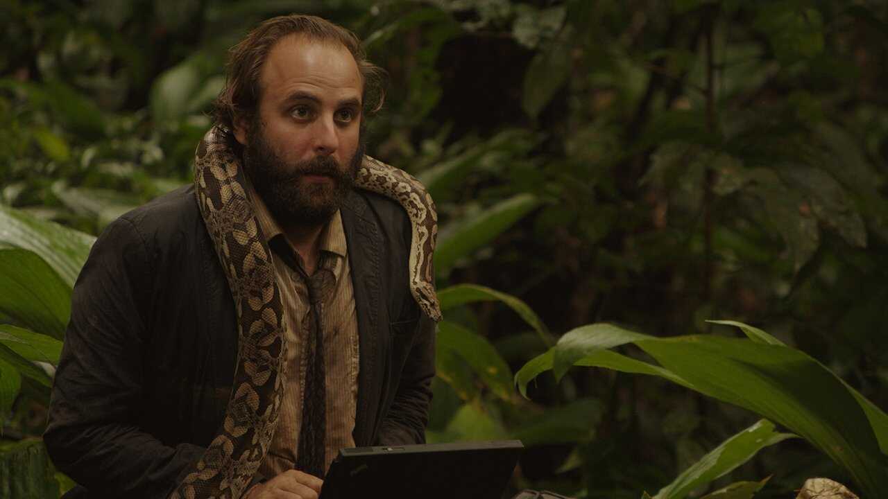 La Loi de la jungle 0
