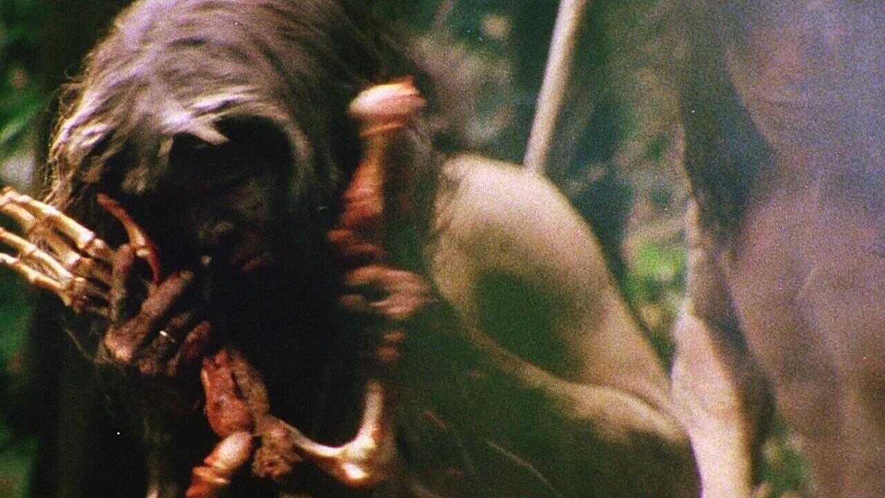 Cannibal Holocaust 0