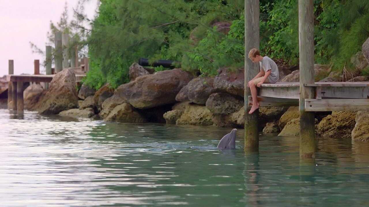 Dolphin Kick 0