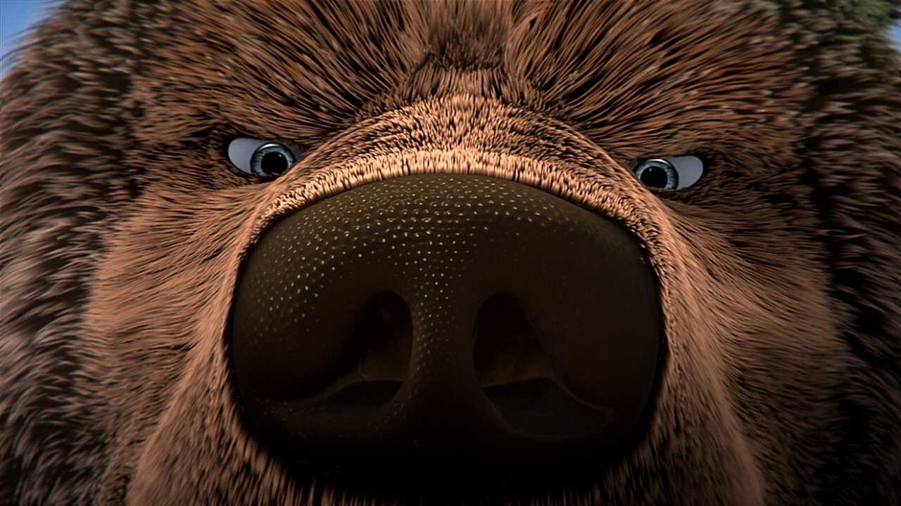 L'Ours Montagne 0