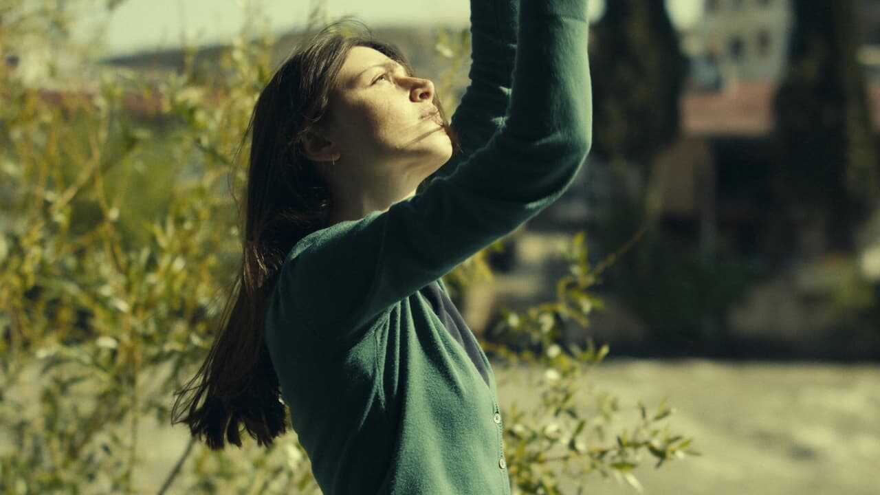 Was sehen wir, wenn wir zum Himmel schauen? 0