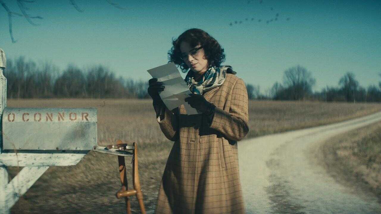 Wildcat (2024) 0