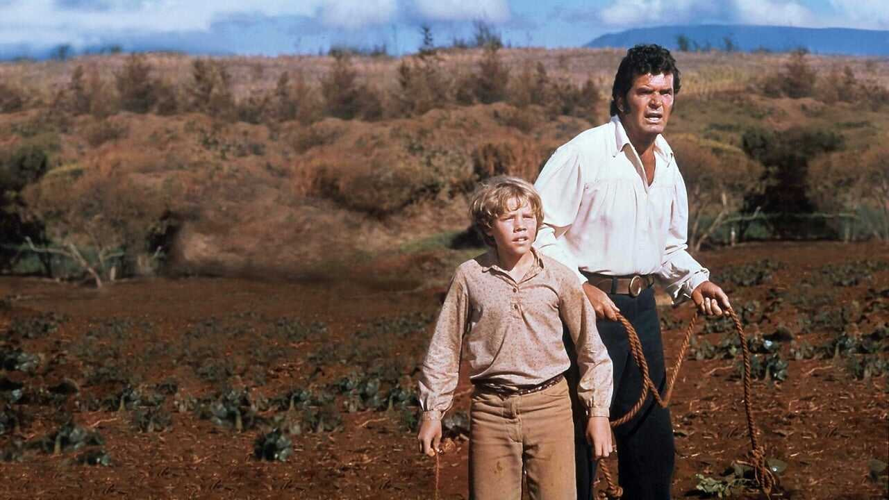 The Castaway Cowboy (1974) 0