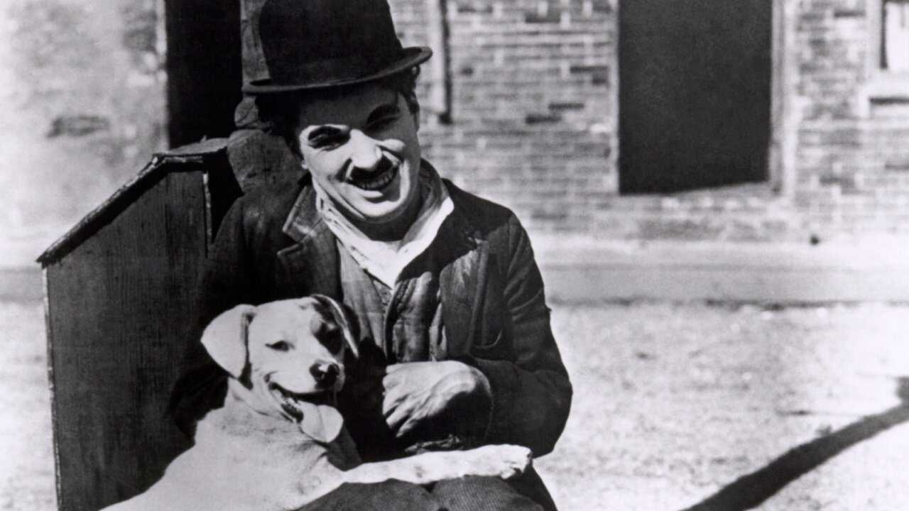 A Dog's Life (1918) 0