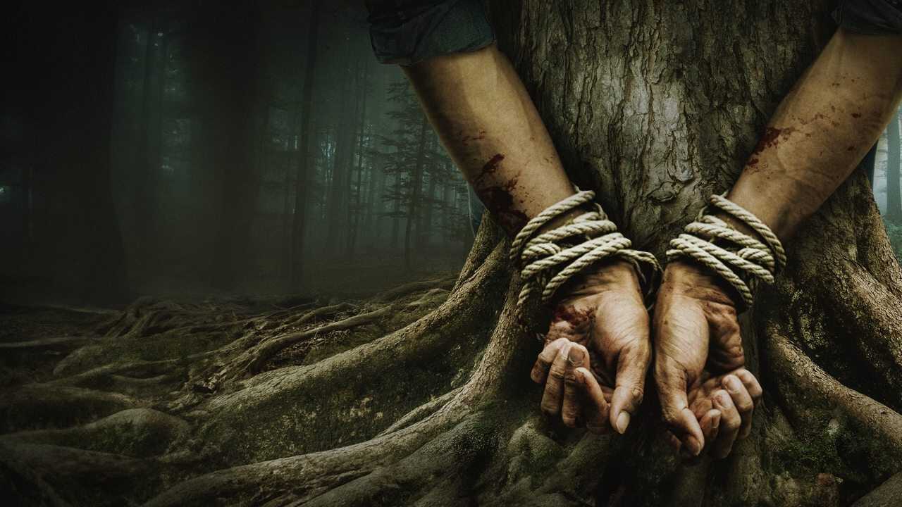Bark - Nichts bleibt verborgen (2024) 0