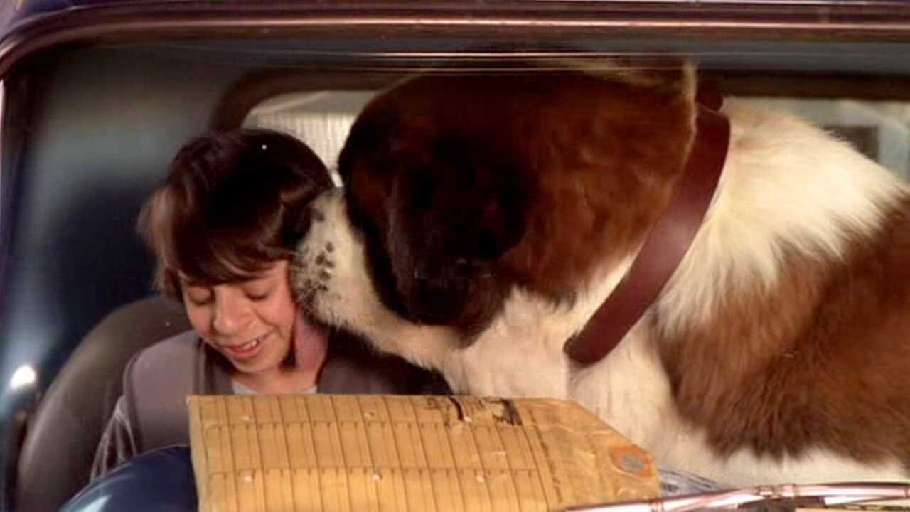 Beethoven's Big Break 0