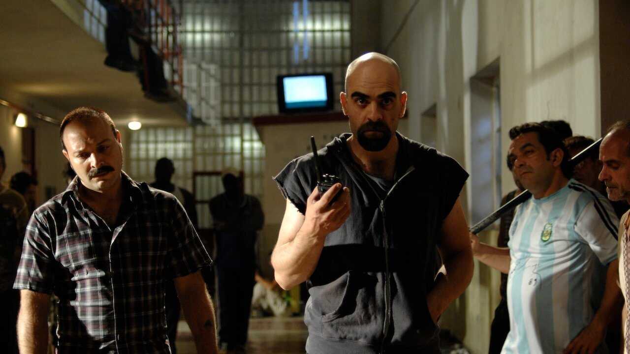 Cell 211 0