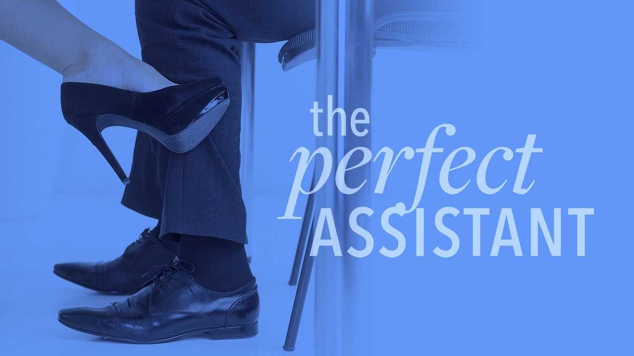 The Perfect Assistant 0