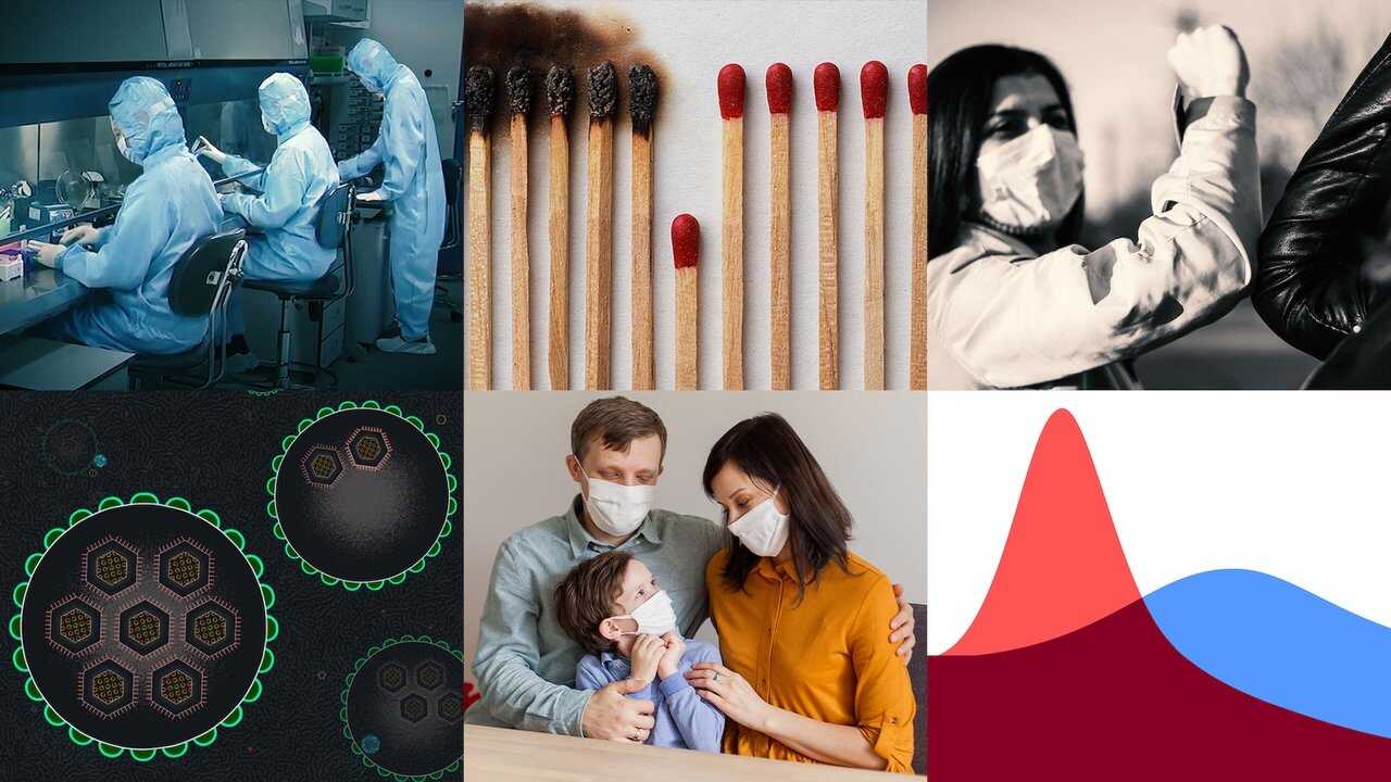 NF - Coronavirus, Explained 1