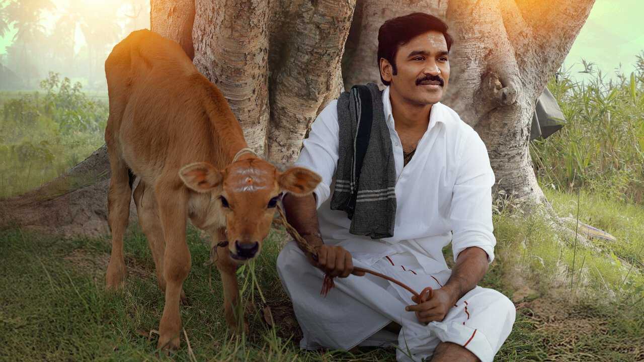 AR| Idli Kadai - 2025 0