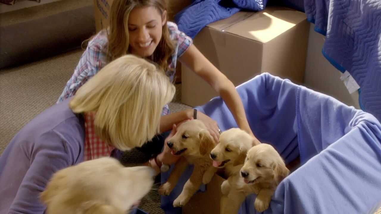 3 amis pour Noël (2011) 0