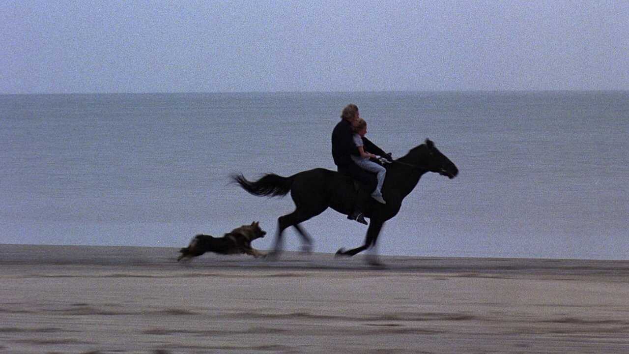 Equus 0