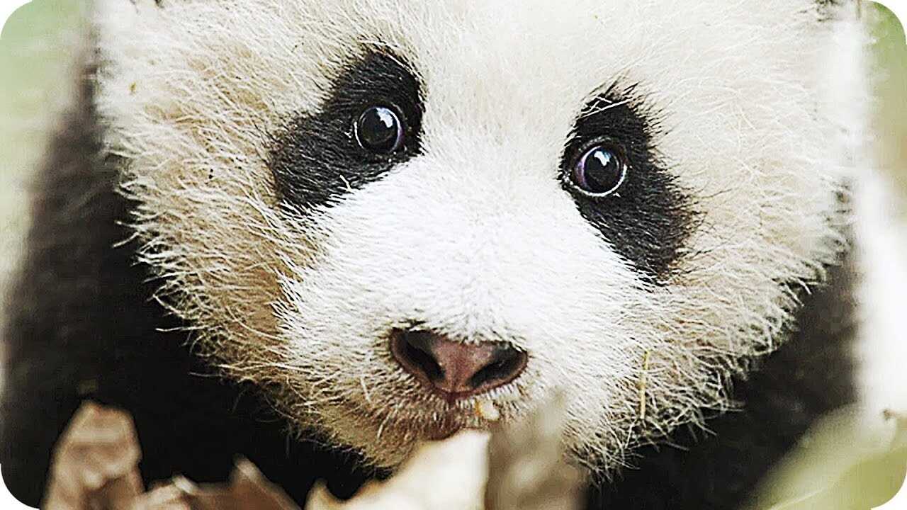 Expedition China (2017) 0
