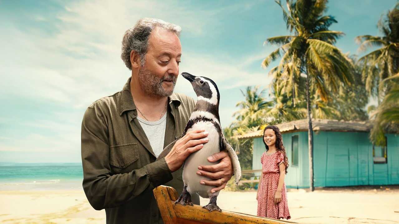 FR - Mon ami le petit manchot - 2024 0