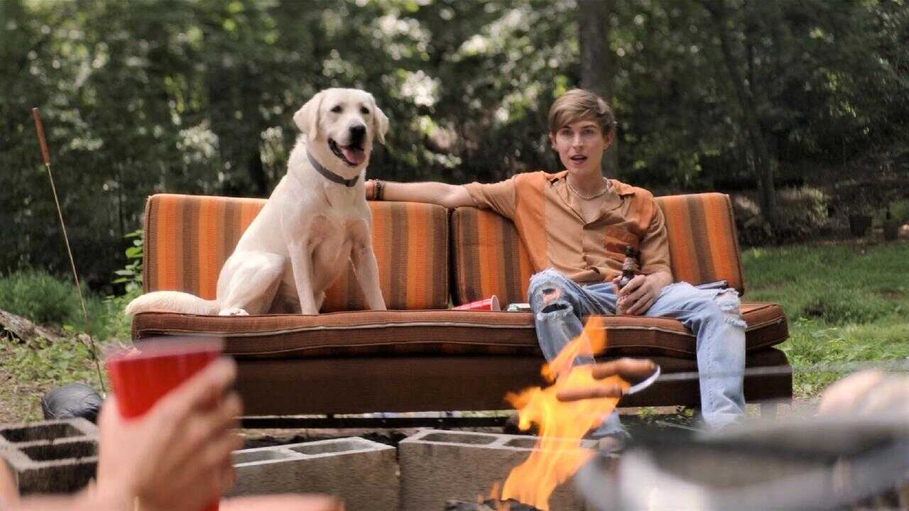Dog Gone 0