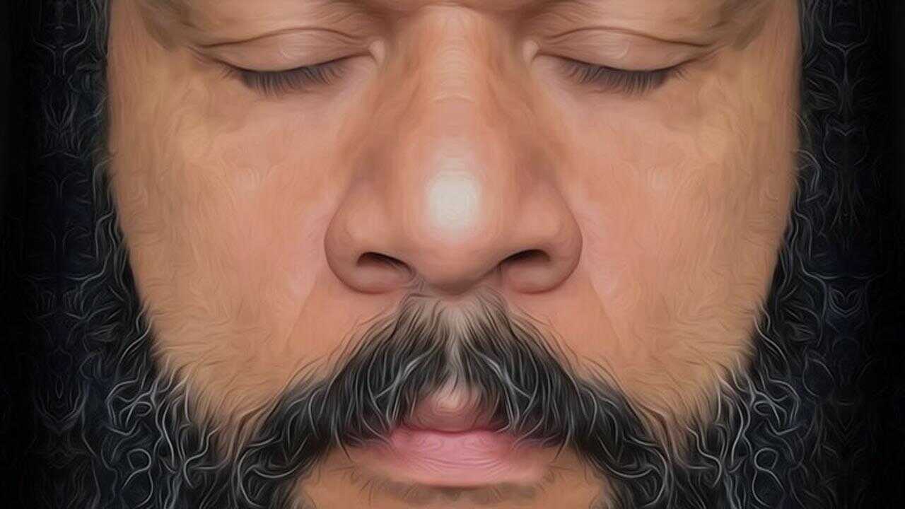 Dieudonné - En vérité 0
