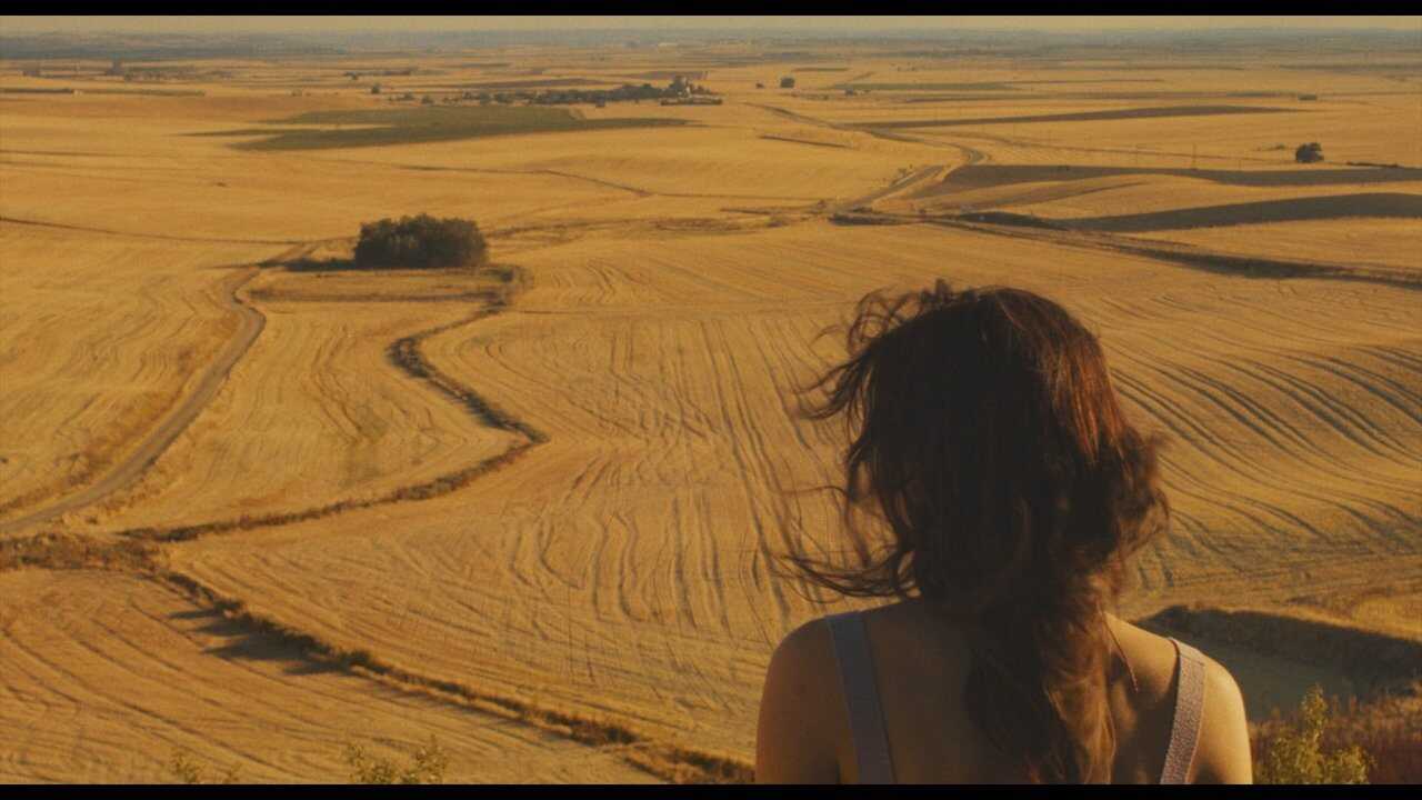 Gallo Rojo (2024) 0