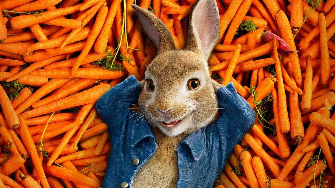 Peter Rabbit 0