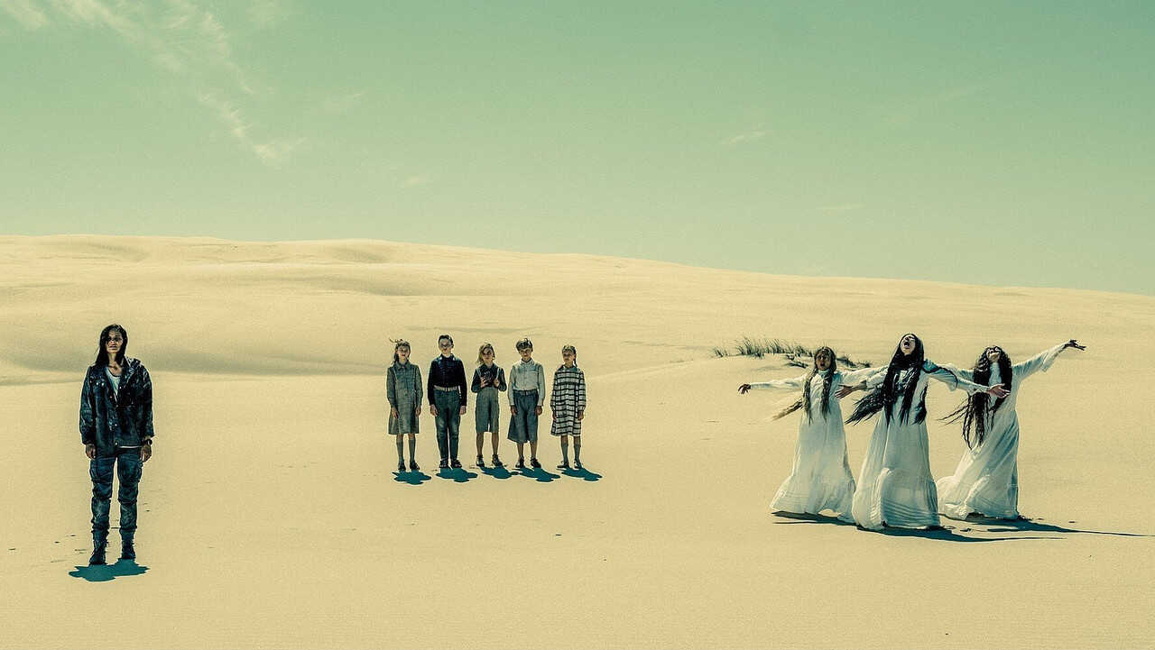 FR - Black Daisies (2025) 2