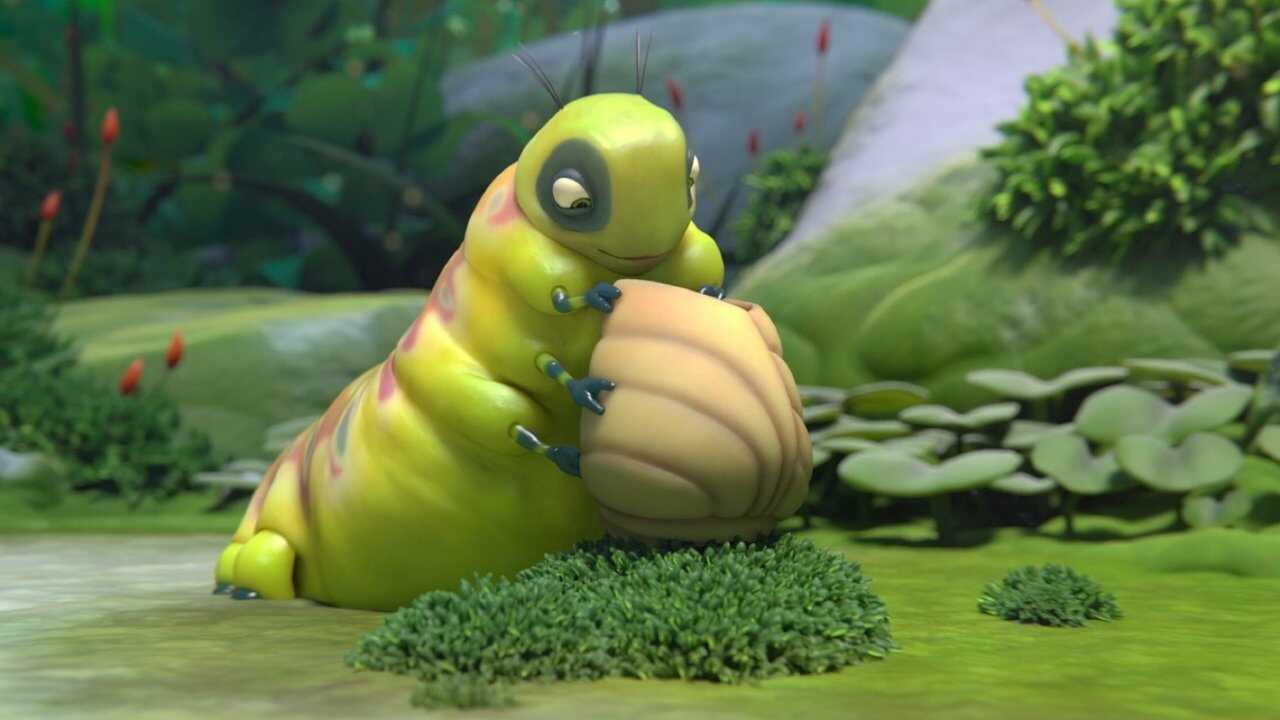 Sweet Cocoon 0