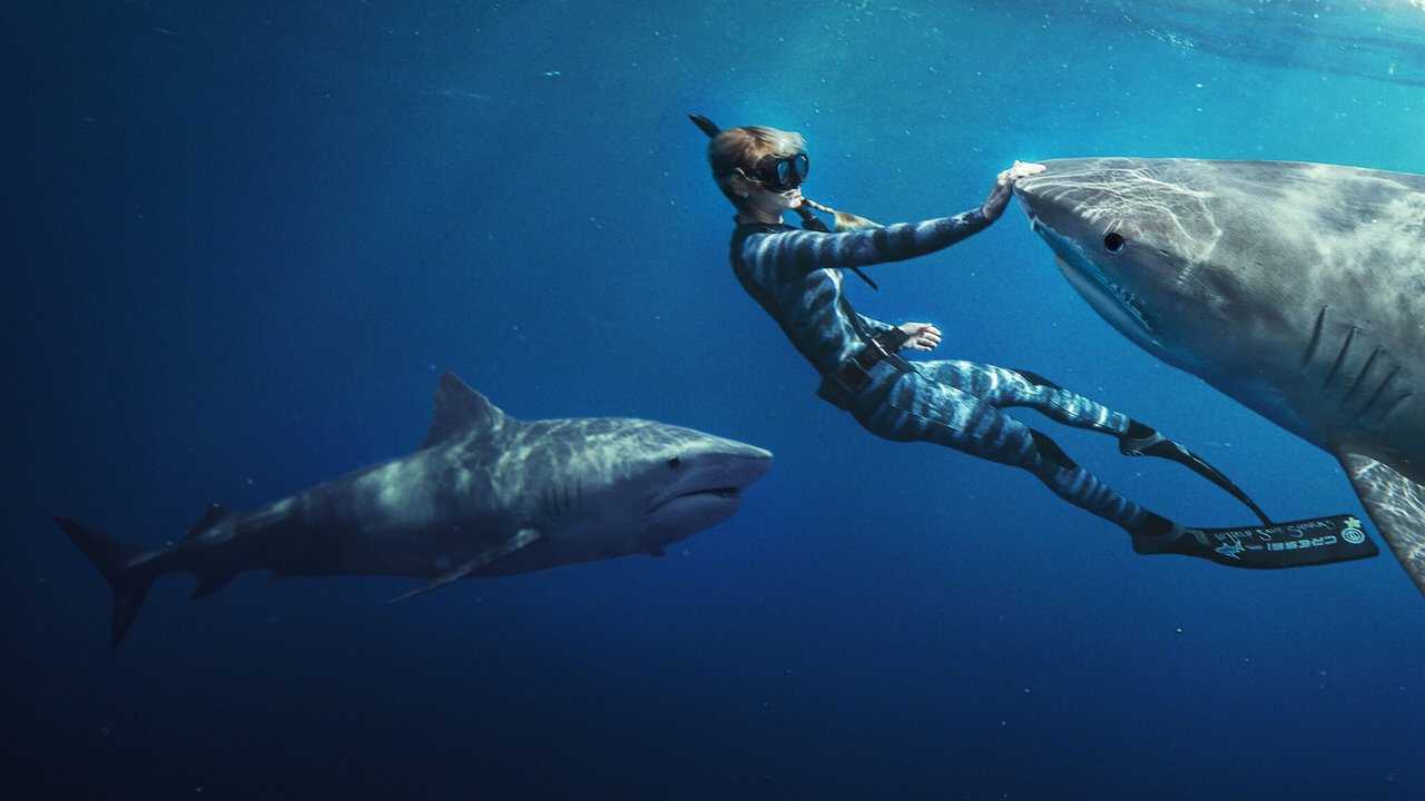 Shark Whisperer (2025) 0