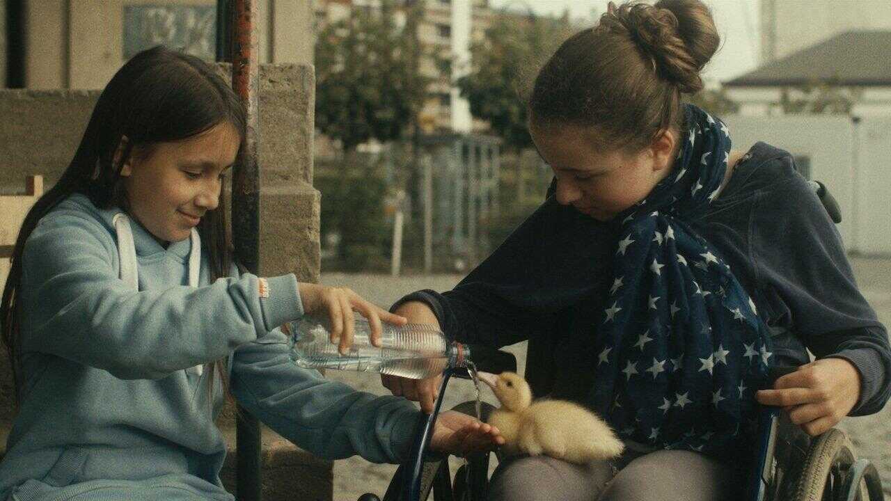 Birds of Passage 0