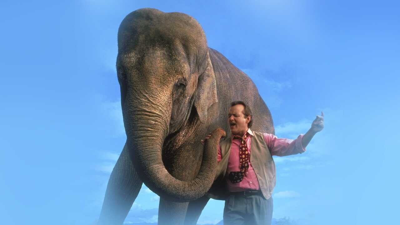 Larger Than Life 0