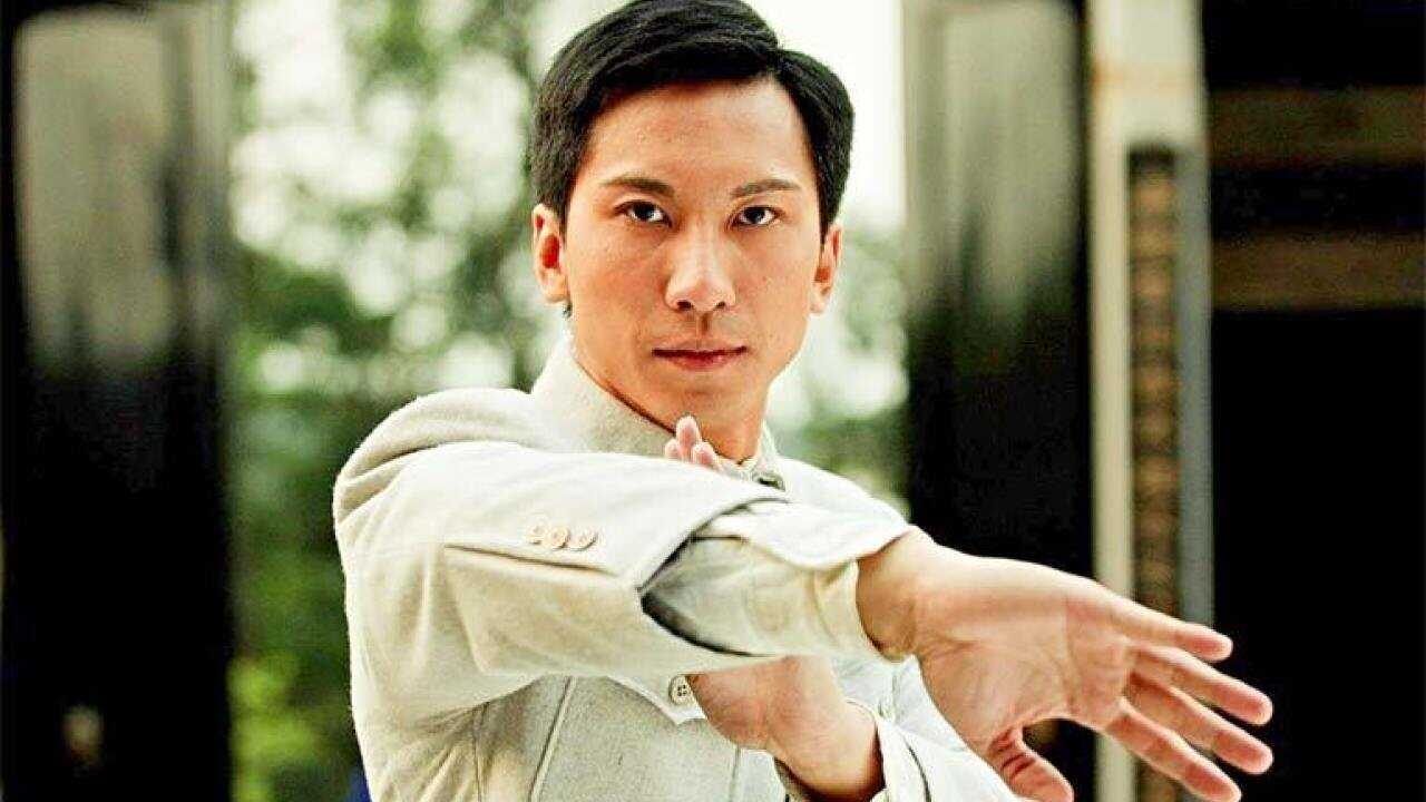 Ip Man : La Légende est née 0