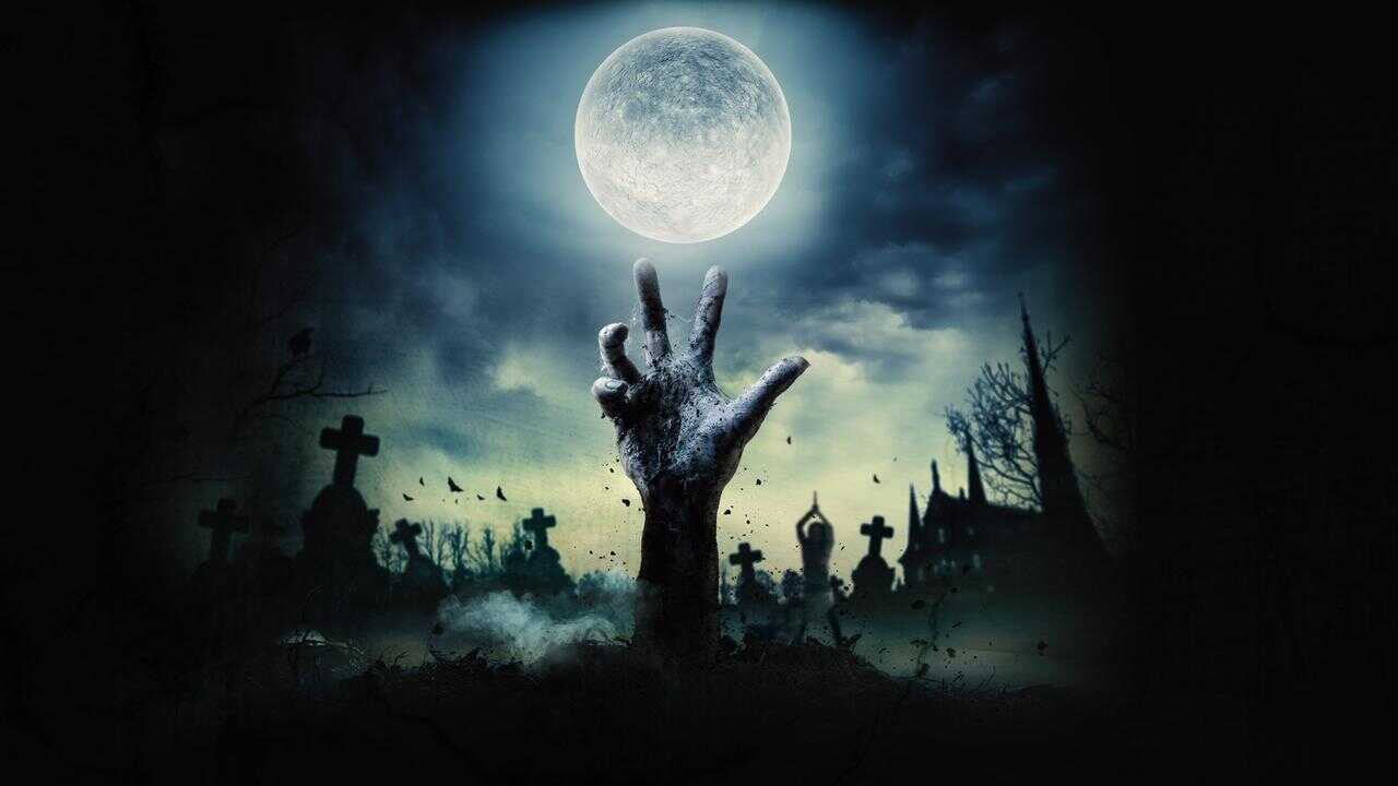 The Curse of Valburga 0