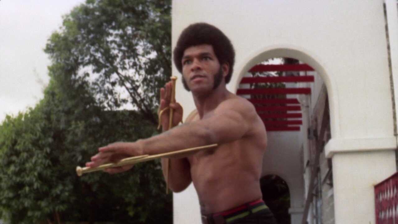 Bruce Lee - Der geheimnisvolle Tod (1975) 0