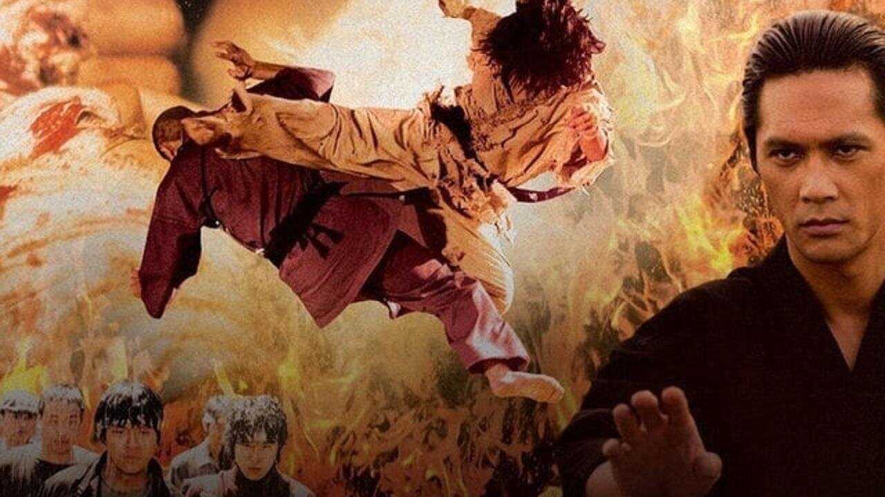 Fighter in the Wind 0