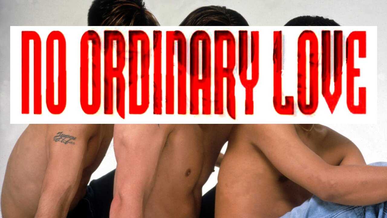 No Ordinary Love 0