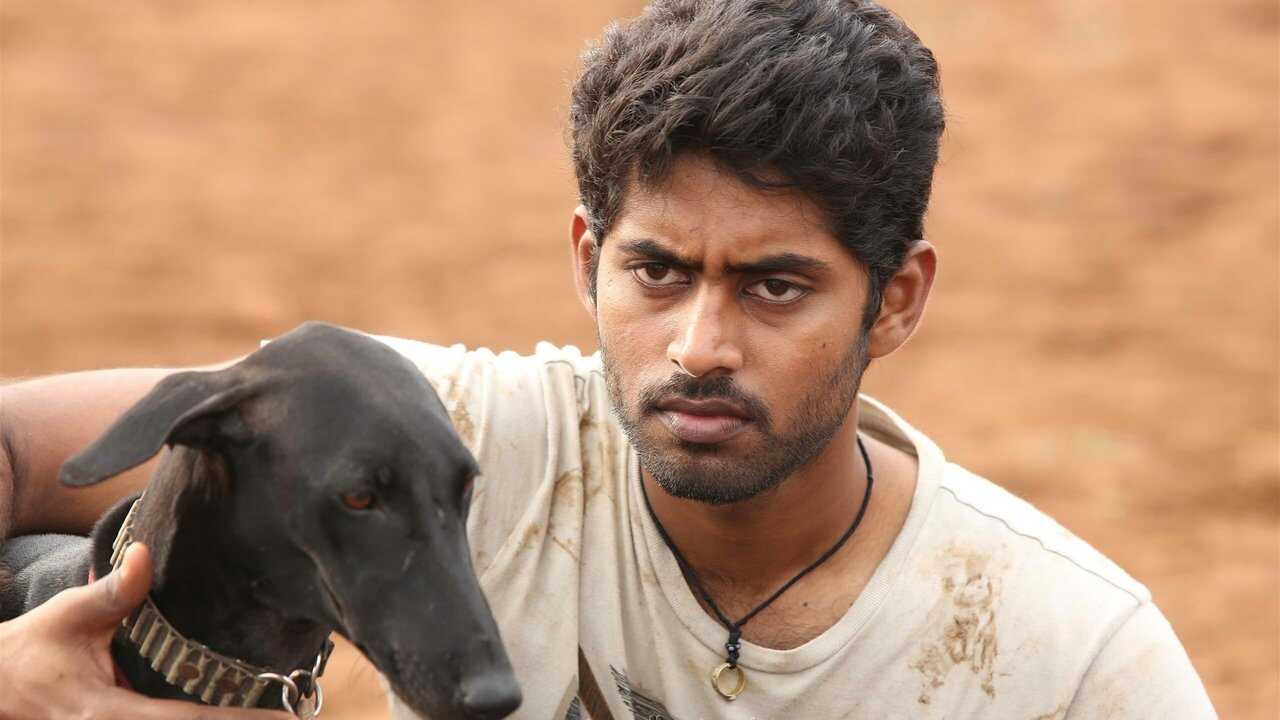 Pariyerum Perumal 0