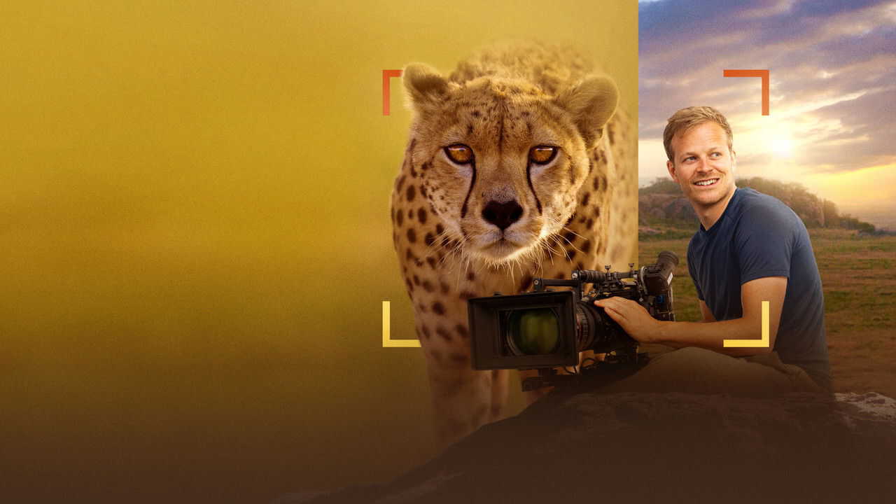 Cheetahs Up Close with Bertie Gregory 0