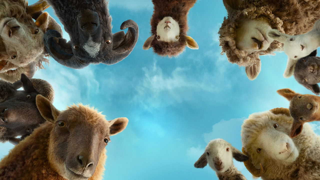 FR| Les Moutons Détectives - 2026 0