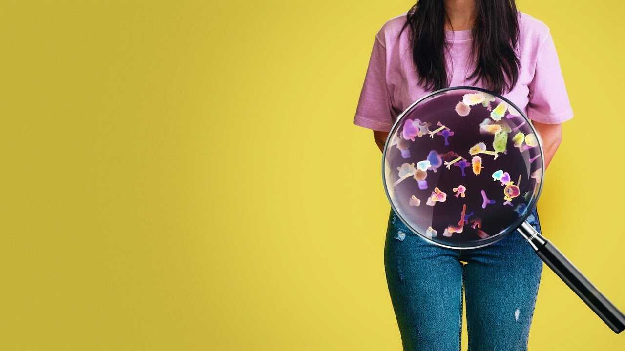 Hack Your Health: The Secrets of Your Gut (2024) 0