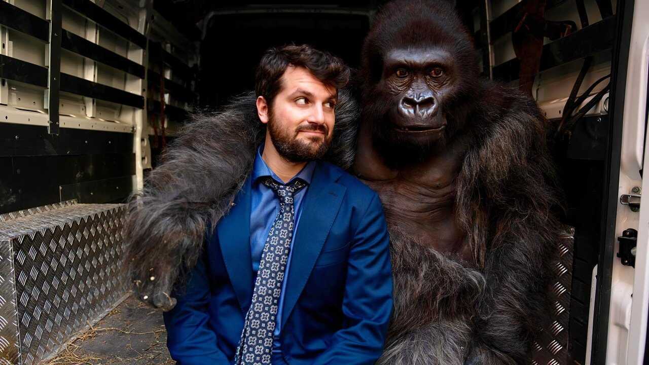 Beware the Gorilla 0