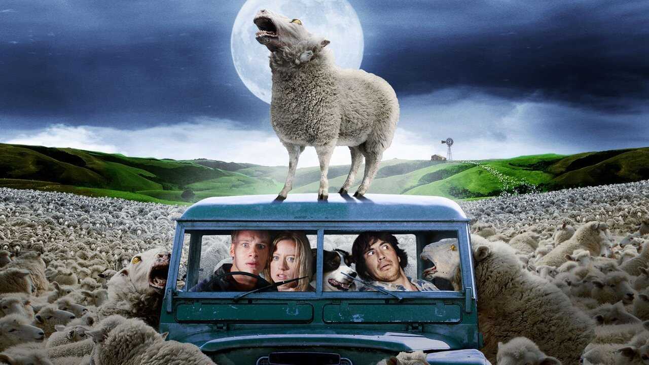 Black Sheep 0