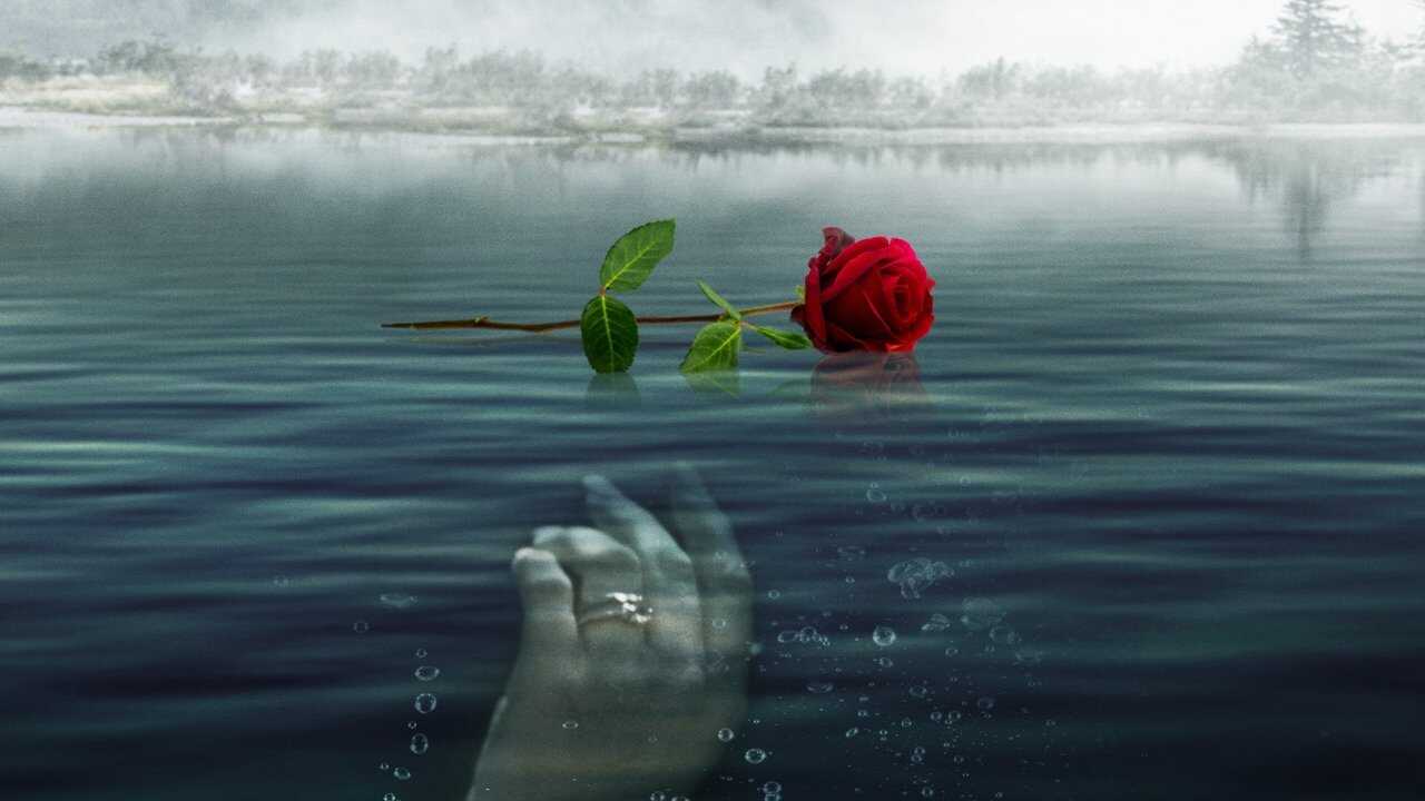 Une rose pour sa tombe : l’histoire vraie de Cynthia Baumgartner (2023) 0