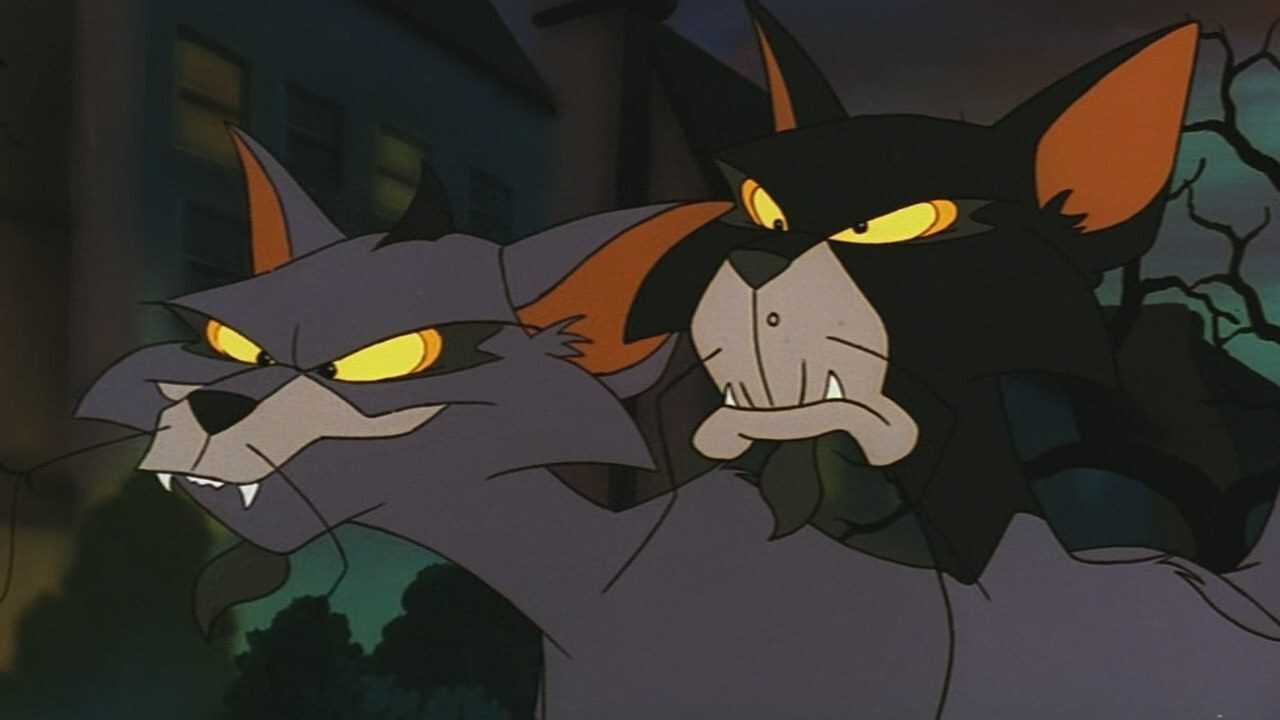 Felidae (1994) 0
