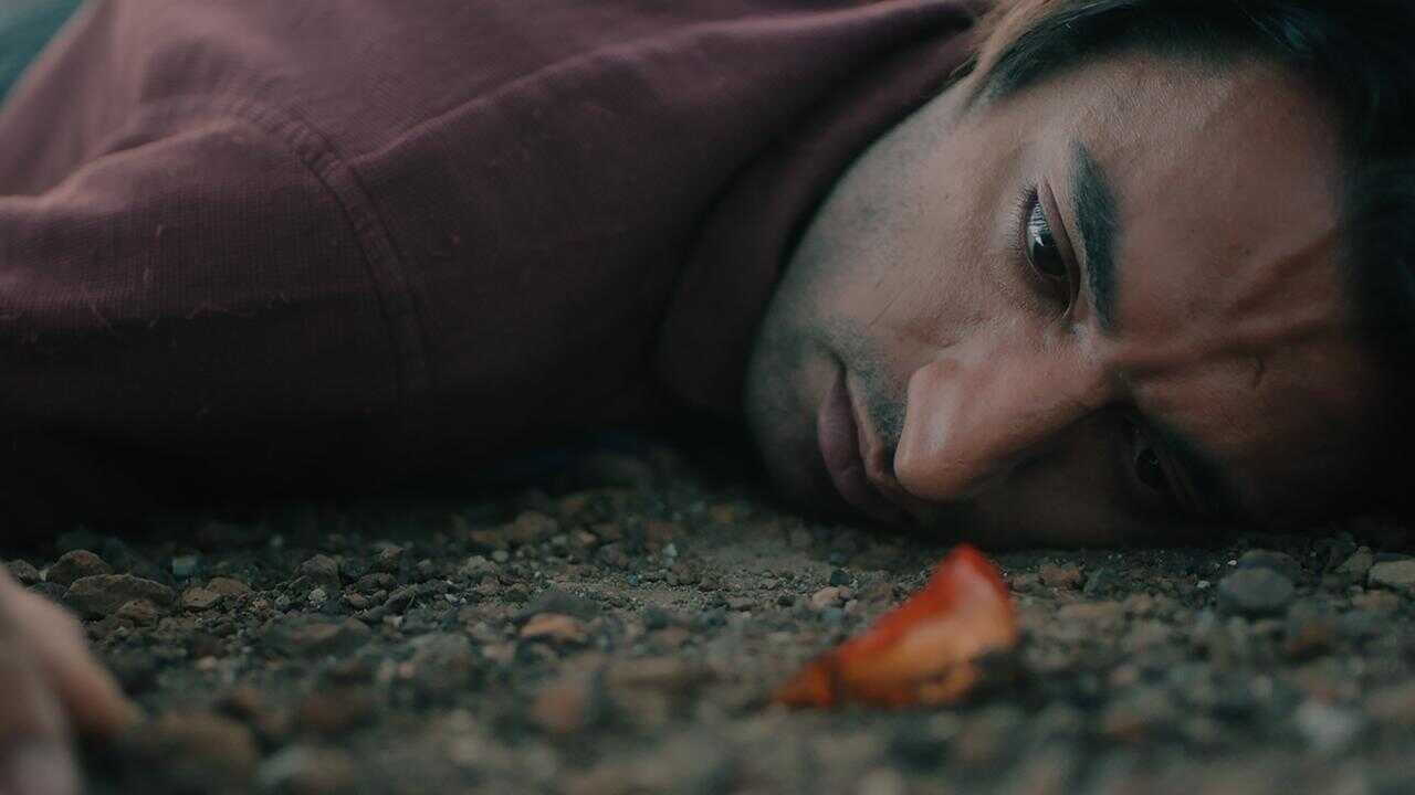 Karganın Uykusu (2024) 0