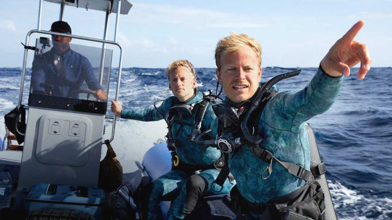 Dolphins Up Close with Bertie Gregory 0