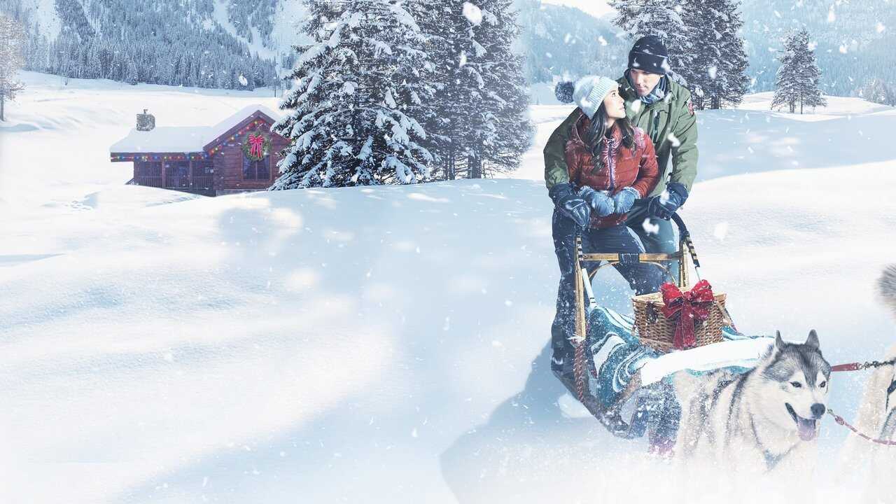Christmas in the Wilds 0