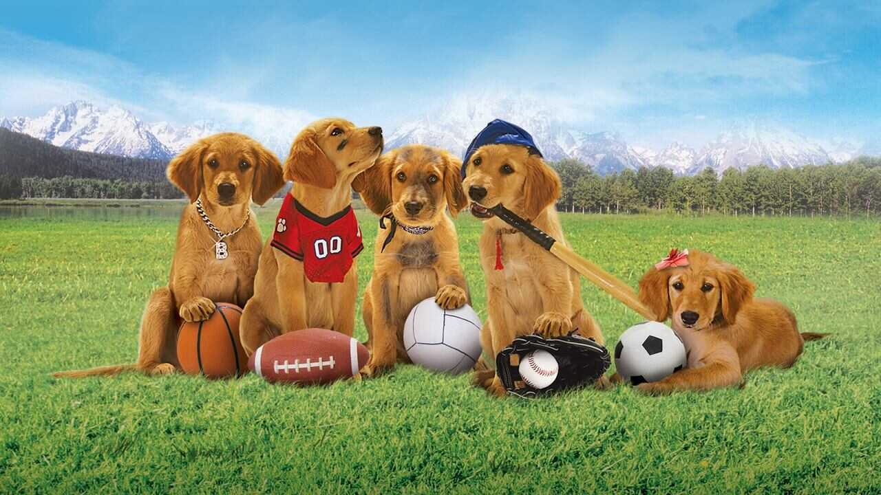 Air Buddies 0