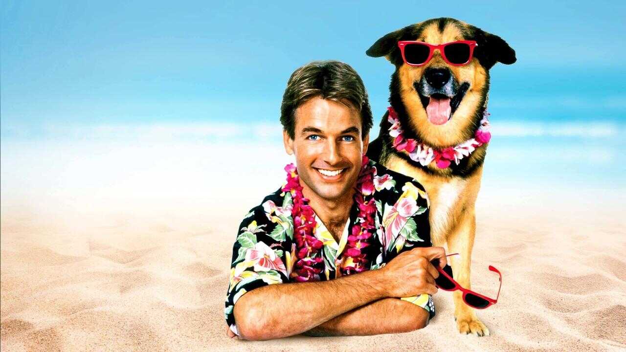 Summer School (1987) 0