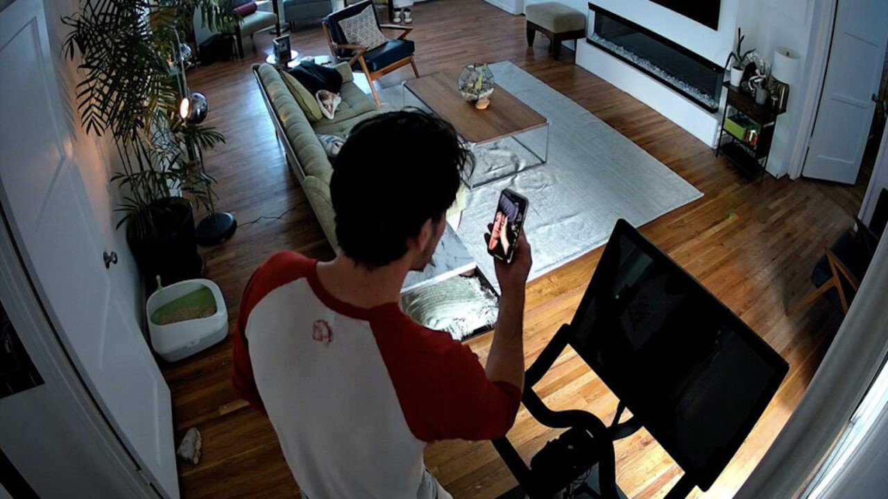 EN| Cat Cam - 2026 0