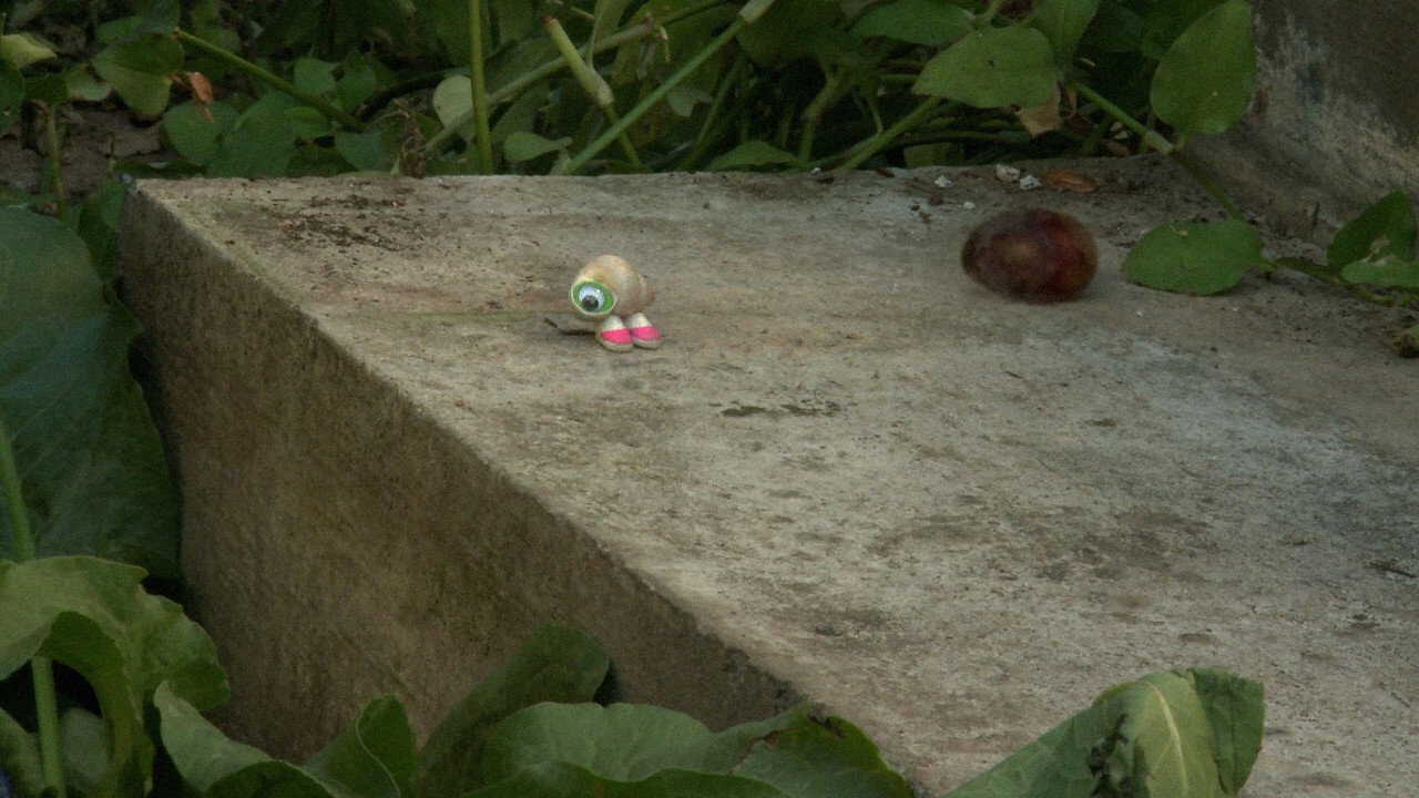 EN| Marcel the Shell with Shoes On, Three - 2014 0