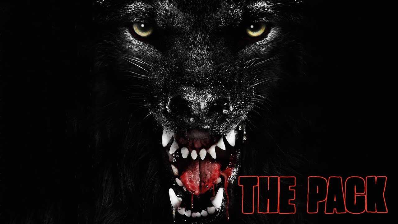 The Pack 0